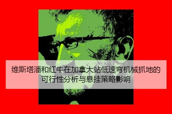 wei-si-ta-pan-he-hong-niu-zai-jia-na-da-zhan-di-su-wan-ji-xie-zhua-di-de-ke-xing-xing-fen-xi-yu-xuan-gua-ce-lve-ying-2-184.jpg